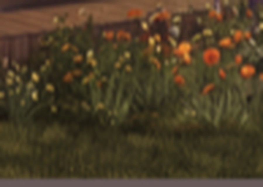 Wildflower garden bed
